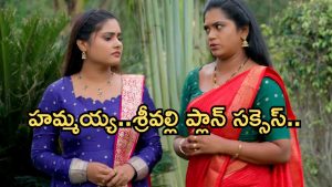 Illu Illalu Pillalu Today Episode: అమూల్యకు ప్రపోజ్ చేసిన విశ్వం.. శ్రీవల్లికి కొత్త టెన్షన్.. భద్రకు బిగ్ షాక్..