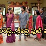 Illu Illalu Pillalu Today Episode: నర్మదపై వేదవతి కోపం.. లంచం తీసుకుంటు దొరికిన నర్మద.. శ్రీవల్లి ఫుల్ హ్యాపీ..