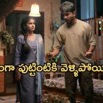 Illu Illalu Pillalu Today Episode: వేదవతి మాటతో మనసు మార్చుకున్న నర్మద.. పుట్టింటికి వెళ్ళిపోయిన ప్రేమ..