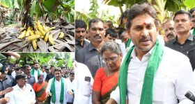 Pulivendula: చంద్రబాబు ప్రభుత్వంపై ఆగ్రహం.. అరటి రైతులతో జగన్ కీలక వ్యాఖ్యలు