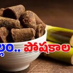 Jaggery: చిన్న తీపి ముక్క చాలు.. చలికాలంలో వేధించే అనేక సమస్యలకు చెక్ పెట్టొచ్చు!