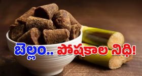 Jaggery: చిన్న తీపి ముక్క చాలు.. చలికాలంలో వేధించే అనేక సమస్యలకు చెక్ పెట్టొచ్చు!