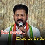 CM Revanth Reddy: కేటీఆర్, కిషన్ రెడ్డి బ్యాడ్ బ్రదర్స్.. సీఎం రేవంత్ రెడ్డి సంచలన వ్యాఖ్యలు