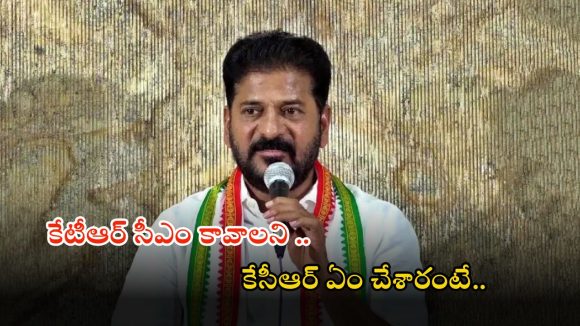 CM Revanth Reddy: కేటీఆర్, కిషన్ రెడ్డి బ్యాడ్ బ్రదర్స్.. సీఎం రేవంత్ రెడ్డి సంచలన వ్యాఖ్యలు
