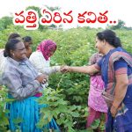 Kavitha: కూలి రైతుగా మారిన కవిత.. చేనులో పత్తి తీసి రైతులతో మాట్లాడి..!