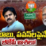 Jubilee Hills Bypoll: బాబు, పవన్‌లపైనే   బీజేపీ ఆశలు!