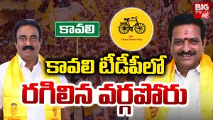 Malepati Subbanayudu: కావలి టీడీపీలో రగిలిన వర్గపోరు..