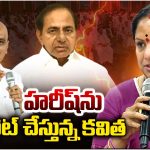 Kalvakuntla Kavitha: హరీష్‌ను టార్గెట్ చేస్తున్న కవిత