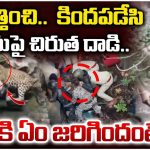 Leopard Attack on Police: పరిగెత్తించి.. కిందపడేసి పోలీసుపై చిరుత దాడి.. చివరికి ఏం జరిగిందంటే!