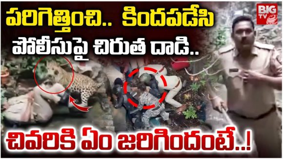 Leopard Attack on Police: పరిగెత్తించి.. కిందపడేసి పోలీసుపై చిరుత దాడి.. చివరికి ఏం జరిగిందంటే!