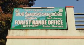 Mancherial News: అటవీ అధికారులపైకి తిరగబడ్డ పోడు భూమి రైతులు.. మంచిర్యాల జిల్లాలో ఘటన