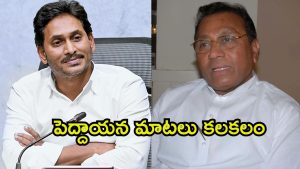 Ysrcp Politics: నోరు విప్పిన మేకపాటి.. ఎందుకు ఆ మాటలన్నారు, జగన్ మనసులో ఏముంది?