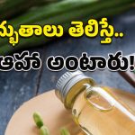 Moringa Oil Benefits: సౌందర్య పోషణలో మునగ నూనె.. అందాన్ని రెట్టింపు చేయడంలో తోడ్పాటు!