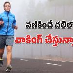 Morning Walk: చలిలోనూ మార్నింగ్ వాక్‌కి వెళ్తున్నారా.. ఈ విషయాలు తెలుసుకోవాల్సిందే అంటున్న నిపుణులు!
