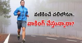 Morning Walk: చలిలోనూ మార్నింగ్ వాక్‌కి వెళ్తున్నారా.. ఈ విషయాలు తెలుసుకోవాల్సిందే అంటున్న నిపుణులు!