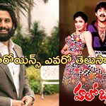 Srinivas Reddy: చైతూ కోసం 10 నెలల కష్టం వృధా.. ఆ సూపర్ హిట్ సీక్వెల్ పై డైరెక్టర్ కామెంట్!