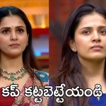 Bigg Boss 9 : తనుజ దొంగ గేమ్, అదే తప్పు ఇంకొకరు చేస్తే వదిలేస్తారా? 