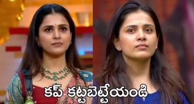 Bigg Boss 9 : పాపం భరణికి ఈ పరిస్థితి వస్తుంది అనుకోలేదు, తనను చూసి నేర్చుకోవాల్సింది ఇదే