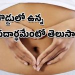 Navel Lint: మీకెప్పుడైనా ఈ డౌట్ వచ్చిందా.. మన బొడ్డులో పేరుకుపోయిన ఈ మెత్తటి పదార్థం ఏంటని?