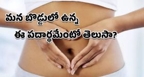 Navel Lint: మీకెప్పుడైనా ఈ డౌట్ వచ్చిందా.. మన బొడ్డులో పేరుకుపోయిన ఈ మెత్తటి పదార్థం ఏంటని?