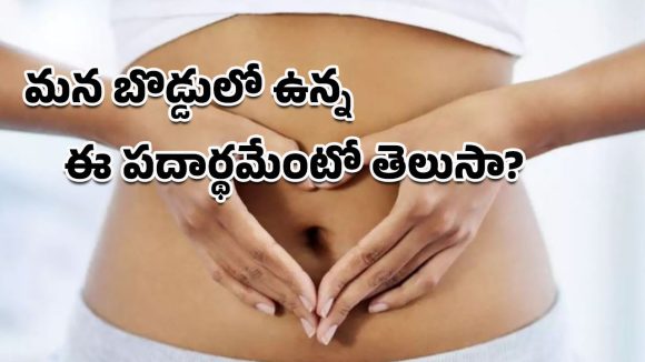 Navel Lint: మీకెప్పుడైనా ఈ డౌట్ వచ్చిందా.. మన బొడ్డులో పేరుకుపోయిన ఈ మెత్తటి పదార్థం ఏంటని?