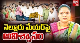 Nellore Mayor: నెల్లూరు మేయర్‌పై అవిశ్వాసం