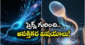 Vastu Tips For New Home: కొత్త ఇంట్లోకి మారుతున్నారా ? ఈ వాస్తు టిప్స్ తప్పక పాటించండి