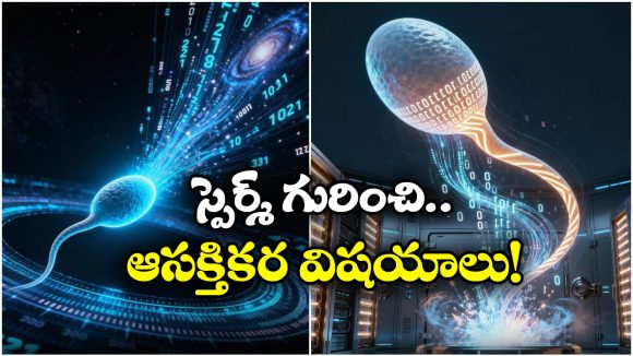Sperm: ఒక్క స్పెర్మ్‌ లో.. 0.8 జీబీ డేటా? మీరు స్కలించే వీర్యం ఎన్ని జీబీల డేటాతో సమానమో తెలుసా?
