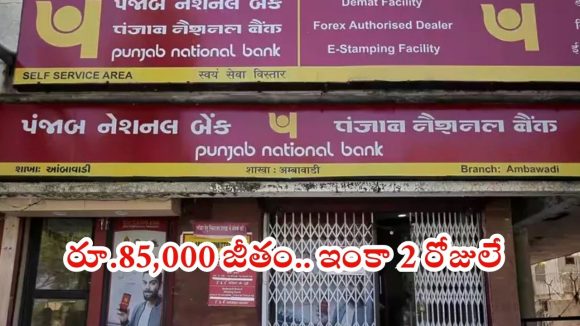 PNB jobs: డిగ్రీ అర్హతతో పీఎన్‌బీలో ఉద్యోగాలు.. స్టార్టింగ్ వేతనమే రూ.48,480.. ఇంకా 2 రోజులే గడువు