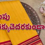 Pattu Saree: అమ్మాయిల నుంచి అమ్మల వరకు అందరికీ ఇష్టమే.. మెరుపు, మన్నిక తగ్గకూడదంటే?