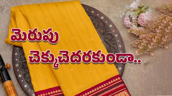 Pattu Saree: అమ్మాయిల నుంచి అమ్మల వరకు అందరికీ ఇష్టమే.. మెరుపు, మన్నిక తగ్గకూడదంటే?