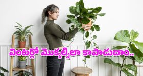 OTT Movie : అరుదైన పాండాను కిడ్నాప్ కి అంతర్జాతీయ ముఠా ప్లాన్... సైలెంట్ గా ఓటీటీలోకి జాకీ చాన్ మూవీ