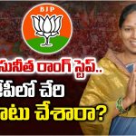 Pothula Suneetha: పోతుల సునీత రాంగ్ స్టెప్.. బీజేపీలో చేరి పొరపాటు చేశారా?