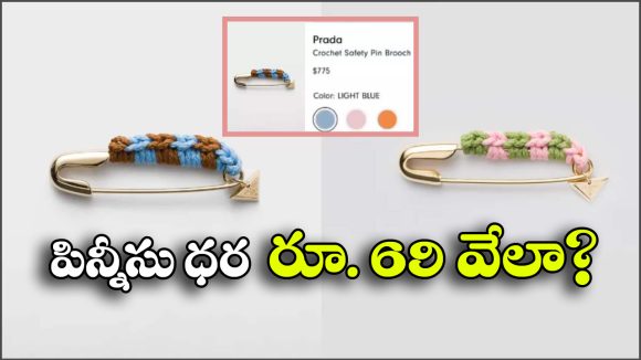 Safety Pin: ఈ పిన్నీసు కొనాలంటే ఆస్తులు అమ్మాల్సిందే, మరీ అంత ధర ఏంట్రా అయ్యా?