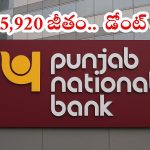 PNB LBO: నిరుద్యోగులకు పండుగే.. పంజాబ్ నేషనల్ బ్యాంక్‌లో భారీగా ఉద్యోగాలు.. డిగ్రీ పాసైతే చాలు బ్రో