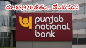 PNB LBO: నిరుద్యోగులకు పండుగే.. పంజాబ్ నేషనల్ బ్యాంక్‌లో భారీగా ఉద్యోగాలు.. డిగ్రీ పాసైతే చాలు బ్రో