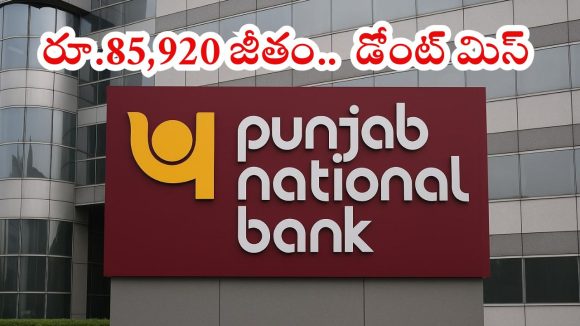 PNB LBO: నిరుద్యోగులకు పండుగే.. పంజాబ్ నేషనల్ బ్యాంక్‌లో భారీగా ఉద్యోగాలు.. డిగ్రీ పాసైతే చాలు బ్రో