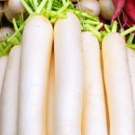 Radish in Winter: శీతాకాలంలో ముల్లంగి తినడం వల్ల ఏమవుతుందో తెలిస్తే షాక్ అవుతారు