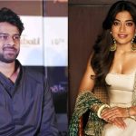 Prabhas -Rashmika : ప్రభాస్ సినిమాలో రష్మిక.. చచ్చిపోతానన్న నెటిజెన్.. ఏమైందంటే?