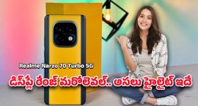 Tulasi Plant: చలికాలంలో తులసి మొక్క ఎండిపోతోందా? ఇలా కాపాడుకోండి
