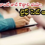 SEBI JOBS: సెబీలో ఆఫీసర్ ఉద్యోగాలు.. రూ.1,26,100 జీతం, దరఖాస్తు ప్రక్రియ షురూ
