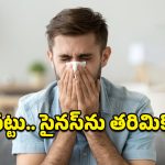 Sinus Problem: వింటర్ ఎఫెక్ట్-సైనస్ వేధిస్తోందా.. డోంట్ వర్రీ, ఈ చిట్కాలు పాటిస్తే ఫుల్ రిలీఫ్!