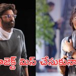 The Girl Friend: సితార బ్యానర్ కు ఏమైంది? ది గర్ల్ ఫ్రెండ్ ని కూడా వదులుకున్నారు