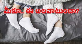 Temba Bavuma - Pant: తెంబా బ‌వుమా ఓ మ‌ర‌గుజ్జుగాడు.. బాడీ షేమింగ్ కామెంట్స్ చేసిన పంత్‌
