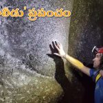 World’s Largest Spider Web: ప్రపంచంలోనే అతి పెద్ద సాలీడు గూడు.. 1,11,000 సాలెపురుగుల నైపుణ్యం.. వీడియో వైరల్