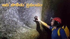 World’s Largest Spider Web: ప్రపంచంలోనే అతి పెద్ద సాలీడు గూడు.. 1,11,000 సాలెపురుగుల నైపుణ్యం.. వీడియో వైరల్