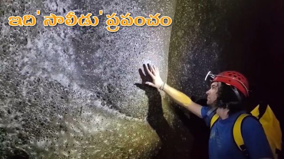 World’s Largest Spider Web: ప్రపంచంలోనే అతి పెద్ద సాలీడు గూడు.. 1,11,000 సాలెపురుగుల నైపుణ్యం.. వీడియో వైరల్