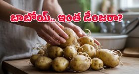 CP Sajjanar: సజ్జనార్ పేరుతో నకిలీ ఫేస్ బుక్ ఖాతా.. సీపీ ఏం చేశారంటే?