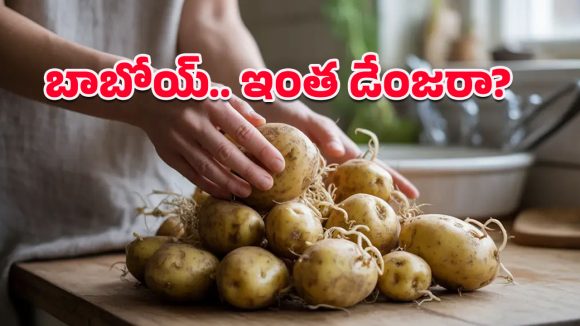 Sprouted Potatoes: మొలకెత్తిన దుంపలు తింటున్నారా?.. ప్రమాదం పొంచి ఉందంటున్న నిపుణులు!