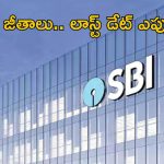 SBI Notification: డిగ్రీ అర్హతతో స్పెషలిస్ట్ ఉద్యోగాలు.. ఇలాంటి నోటిఫికేషన్ రేర్, జాబ్ వస్తే లైఫ్ అంతా సెట్